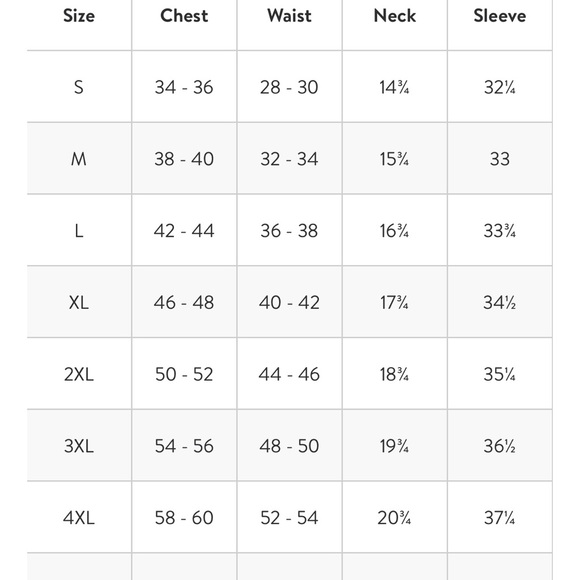 Banded down jacket - Picture 2 of 2